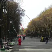 DSCN7868
