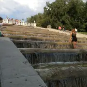 IMG 3005