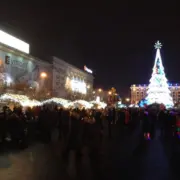 IMG 3558