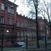 IMG 3893 1