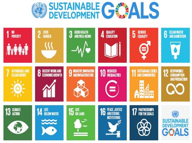 sustainable dev goals
