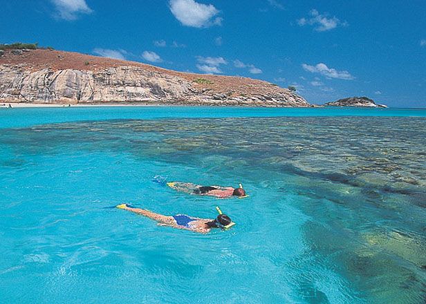 fiji snorkelling