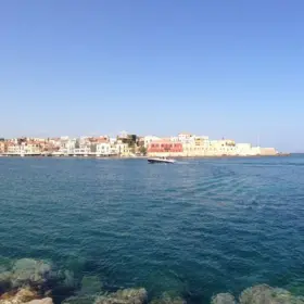 IMG 9516