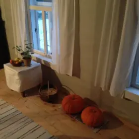 IMG 0275
