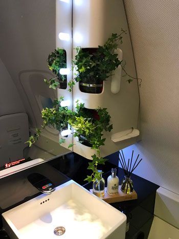 thy living garden