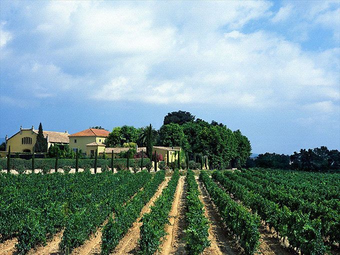 spain wine tourism