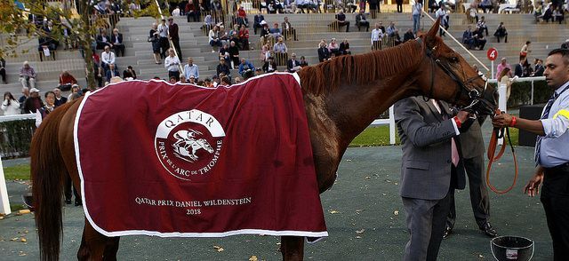 Qatar horcerace Paris
