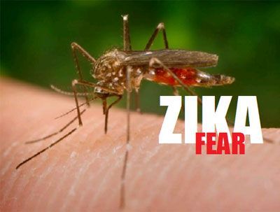 zika virus fear