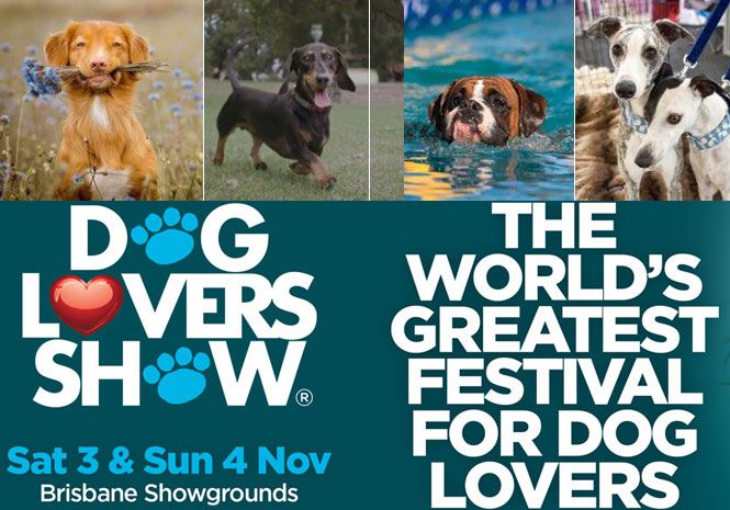 dog lovers show brisbane2018
