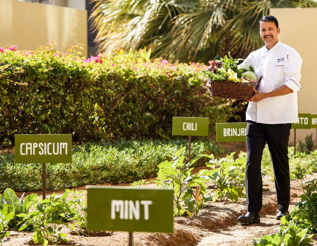 Swissotel's own herb garden