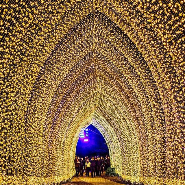 Bright Brussels, Festival of Light