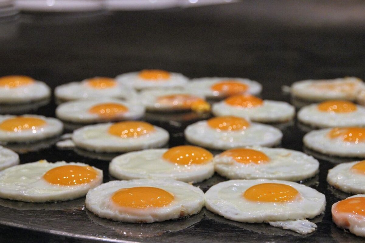 Breakfast - eggs