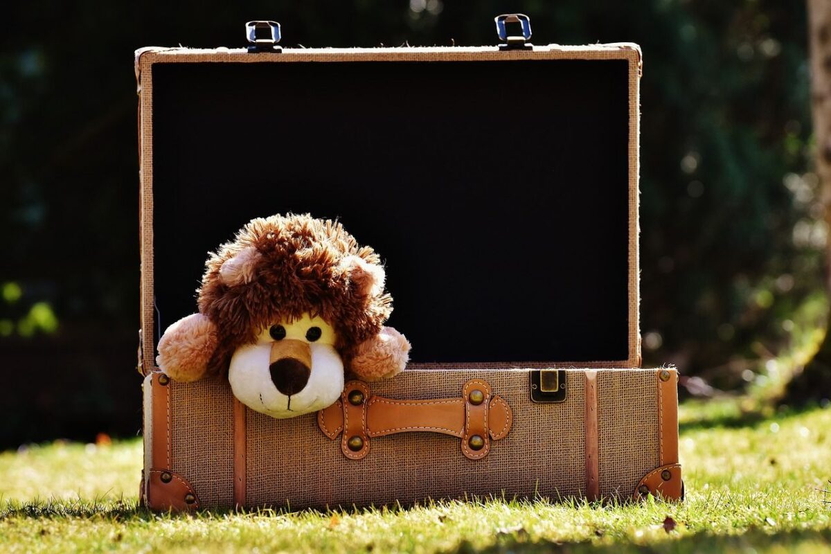 Traveling with a teddy bear