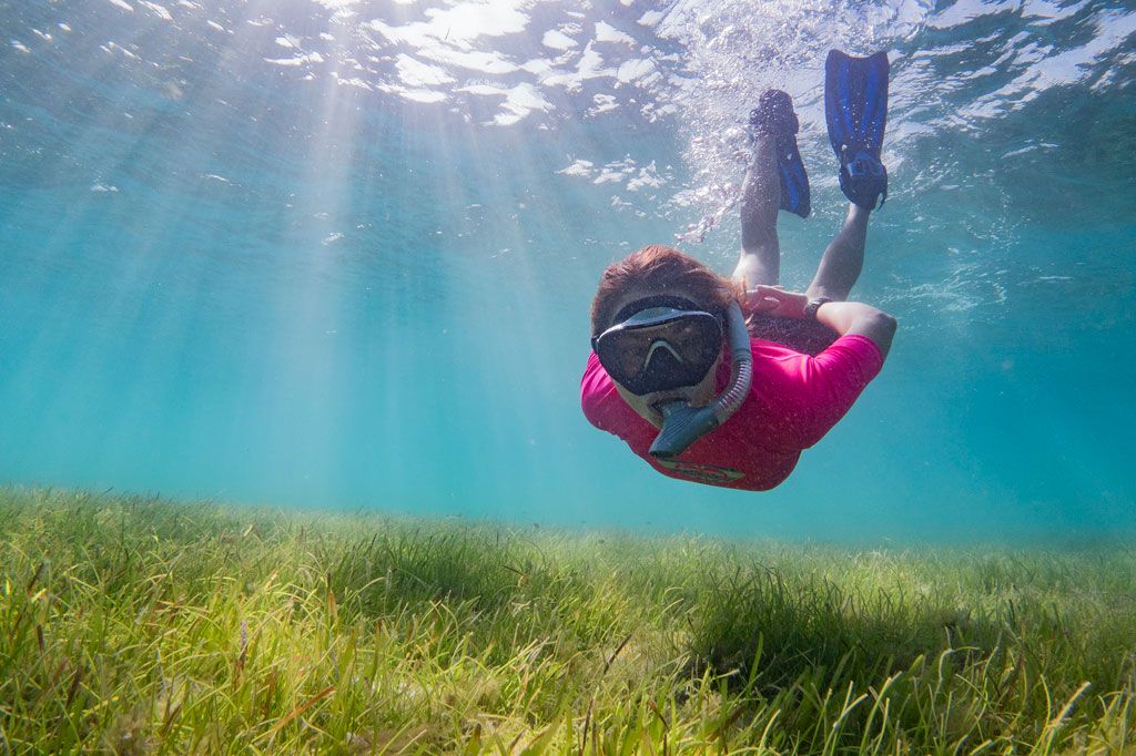 Six Senses Laamu Integral In Campaign Launch To Protect Seagrass In The Maldives 8 Six Senses Laamu guest snorkeling