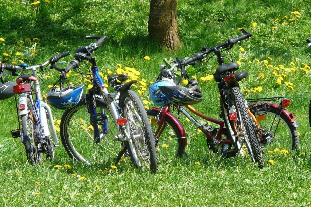 Germany Is A Worldwide Leader In Cycle Tourism 2 Cycle Tourism