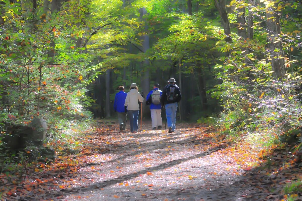 Smoky Mountains hiking