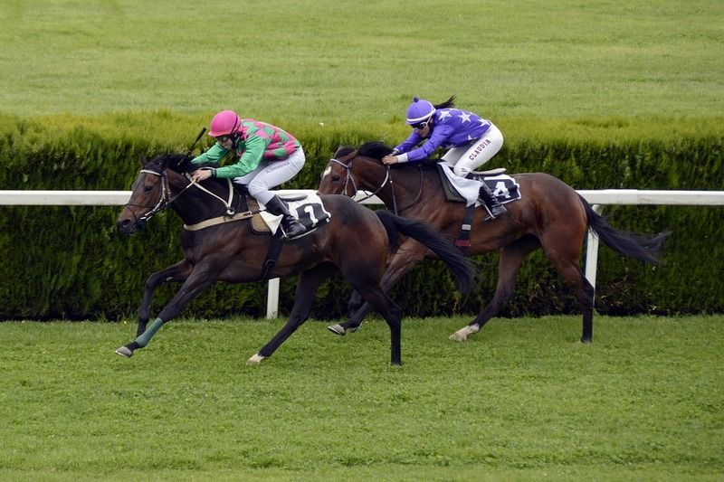 5 Unmissable Uk Events For Spring 2019 4 horse racing course