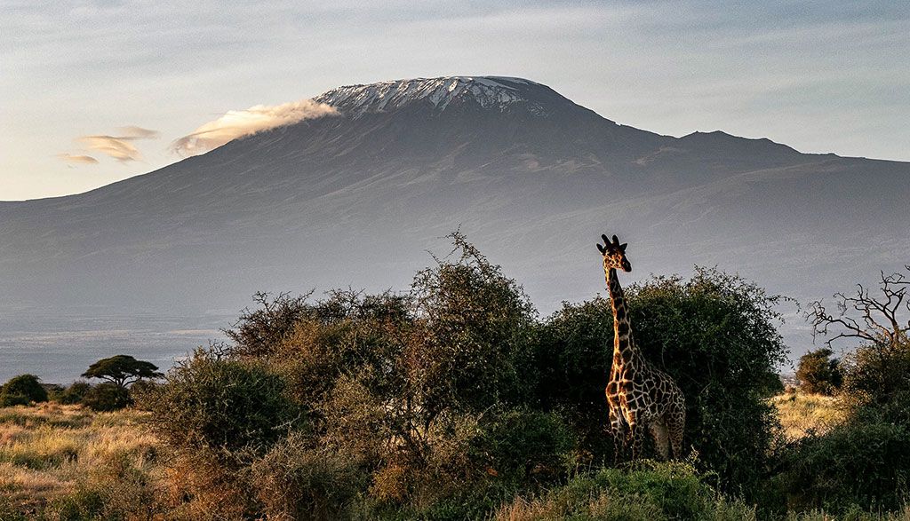 Routes Africa 2019 To Be Held In Kenya In December 2 africa 4058720