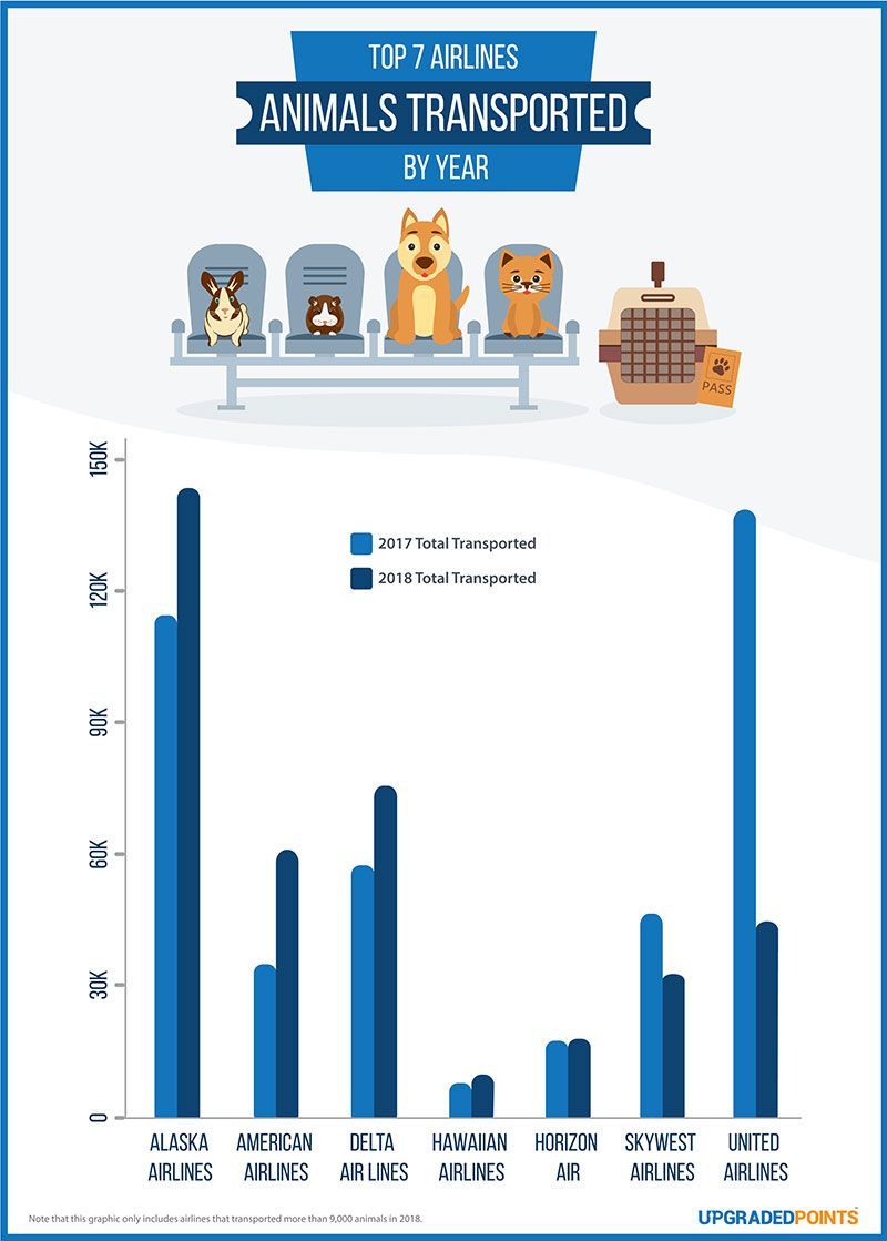 animal incidents by year