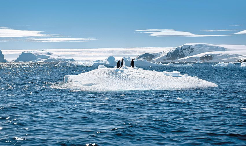 princess-cruises-announces-2020-2021-south-america-antarctica-program-focus-on-travel-news