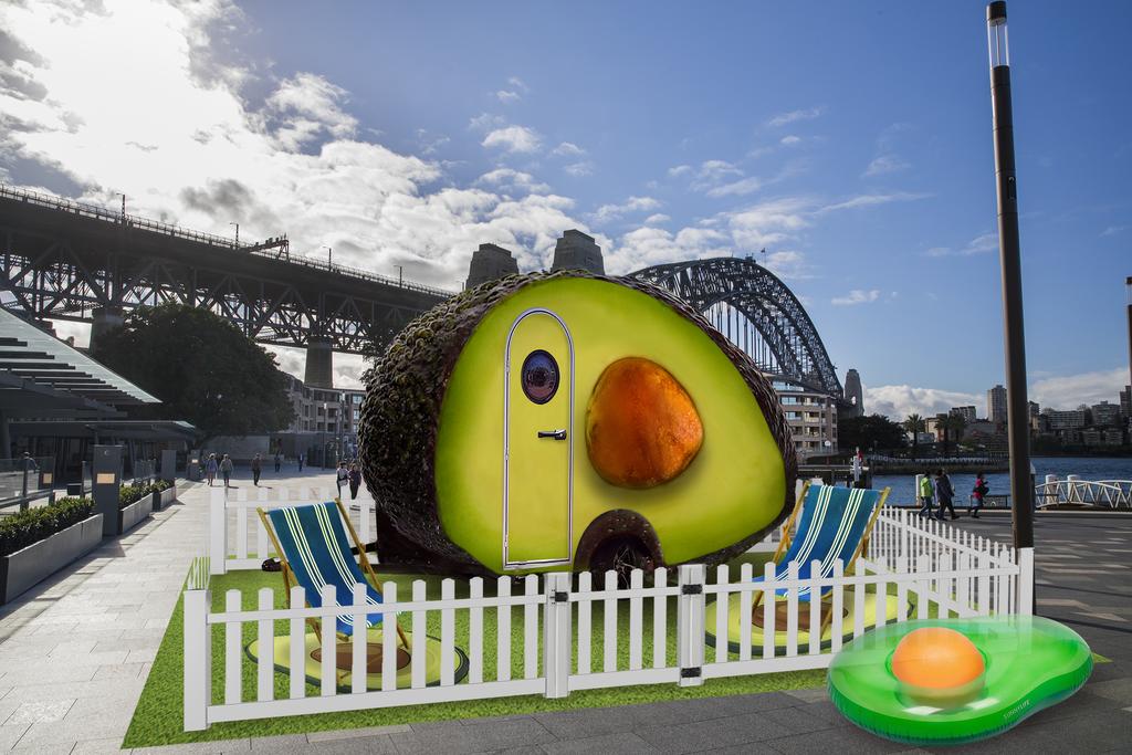 Do you want to stay in Avocado?