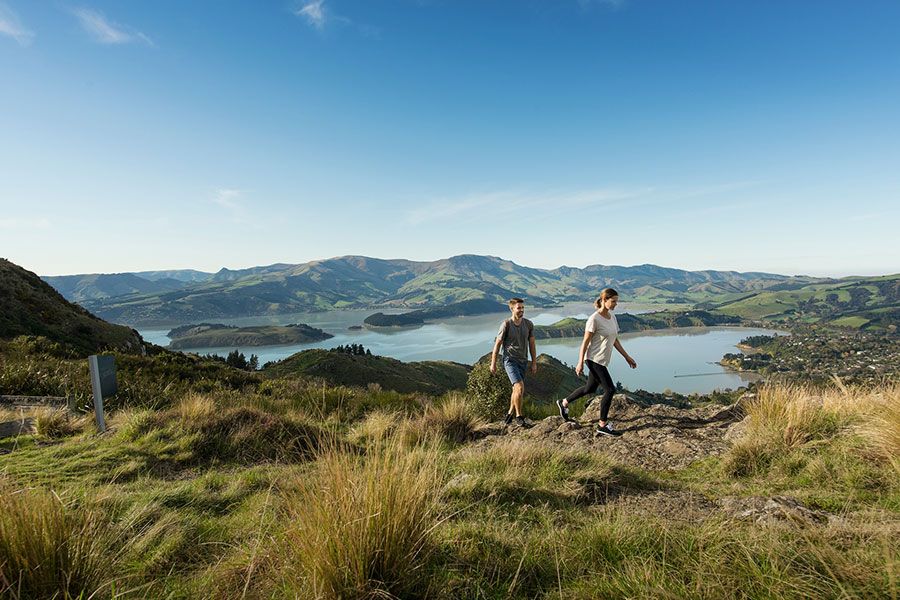 Port Hills, Christchurch
