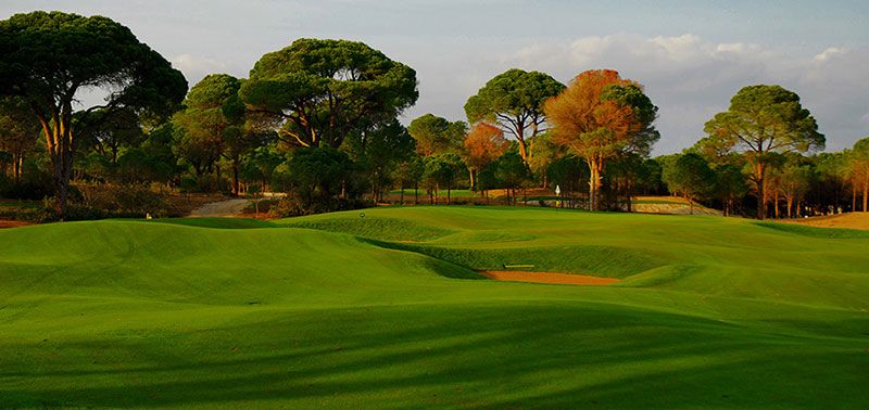 Pines Course Sueno