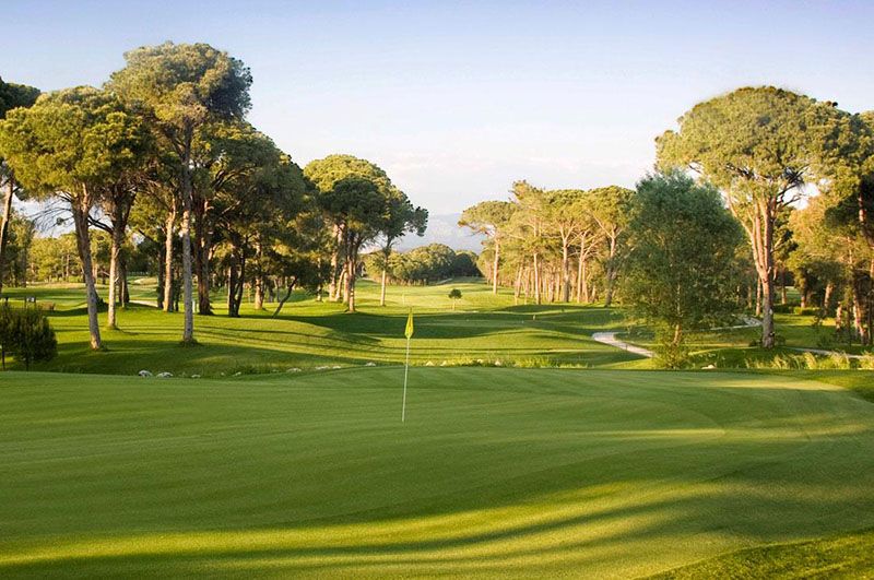 gloria new course
