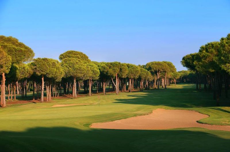 gloria old course