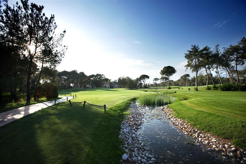 montgomerie maxxroyal