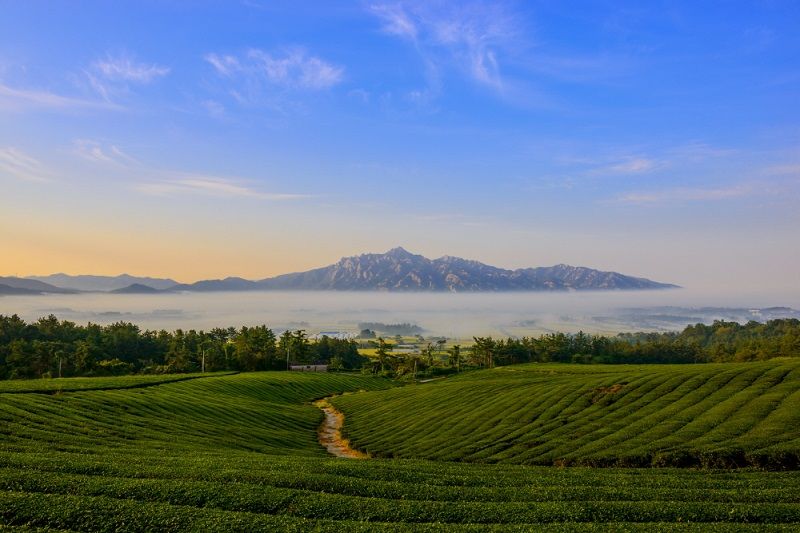 Korea's new MICE destination: South Jeolla Province