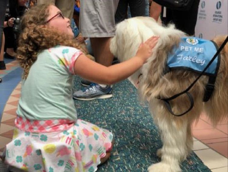 Orlando International Airport Launches New Therapy Dog Program 2 Orlando MCO Paw Pilots program