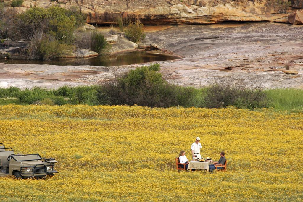 Bushmans Kloof Wilderness Reserve