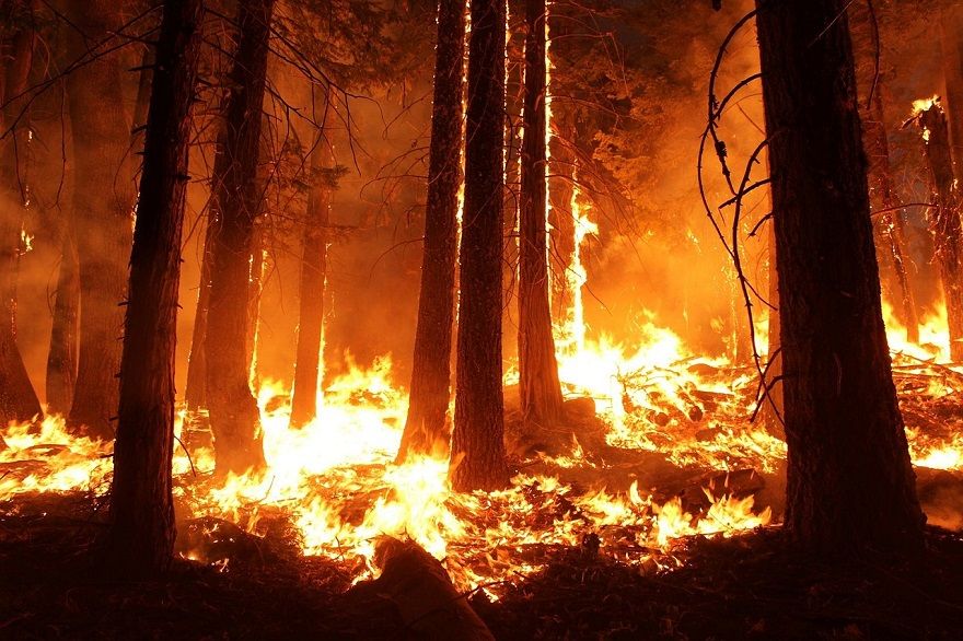 Summer Winds may spark more Wildfires