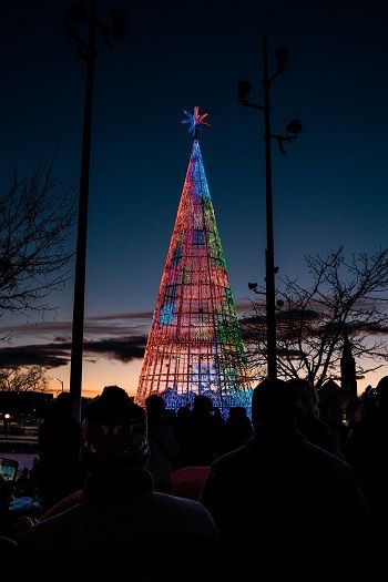 Denver Mile High Tree