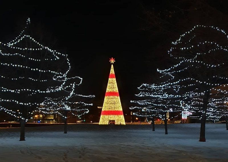 America's Tallest Digital Holiday Tree