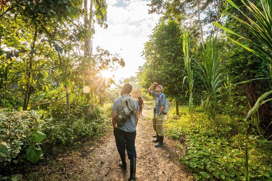Future Wellness Trends