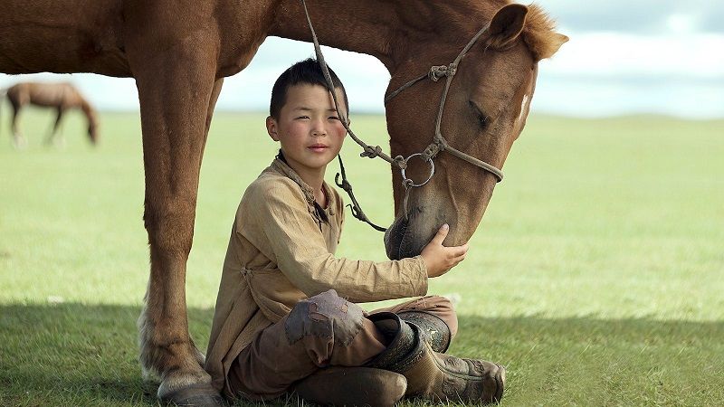 The Steed - Film from Mongolia