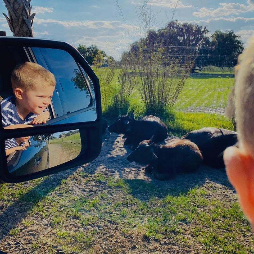 Wild Florida Drive-Thru