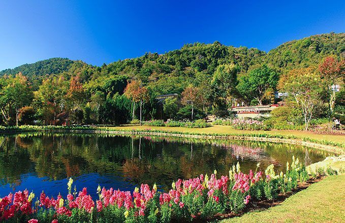 Chiang Mai gardens