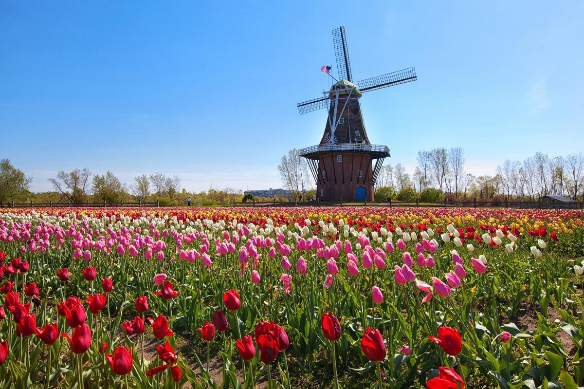 Student’s Guide On The Top Places To Visit In Spring 6 holland michigan