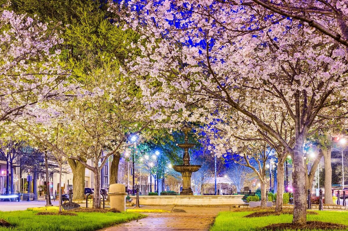 Student’s Guide On The Top Places To Visit In Spring 7 macon georgia