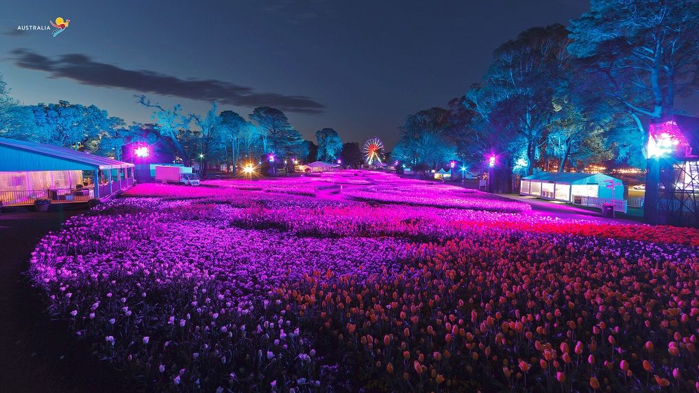 Canberra ACT