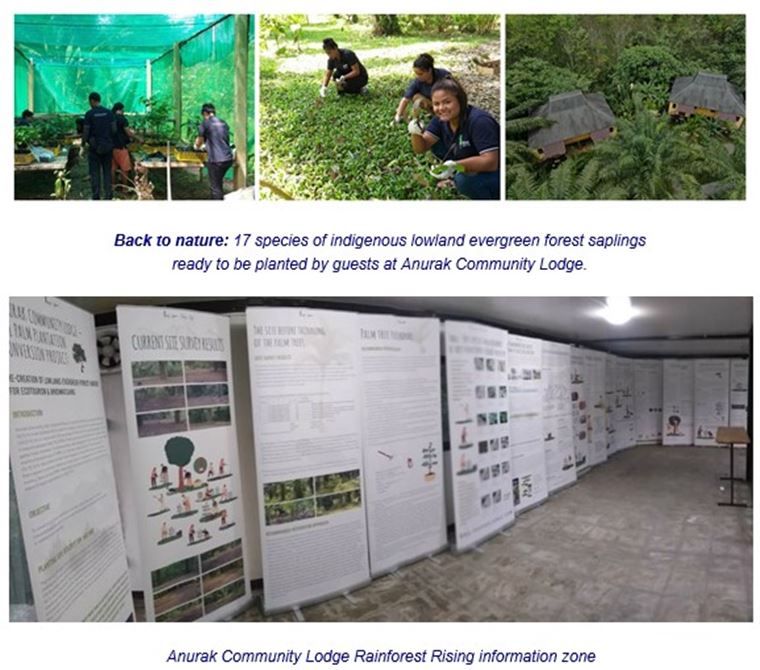 Ecolodge In Southern Thailand Encourages Guests To Help With A Forest Regeneration Project 2 ‘Rainforest Rising’ tree planting initiative