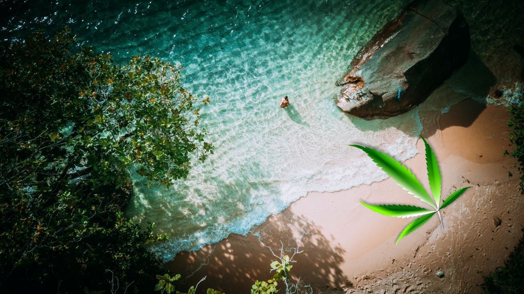 Would You Like To Travel To Seychelles For Marijuana Tourism? 2 Travel to Seychelles for Marijuana Tourism