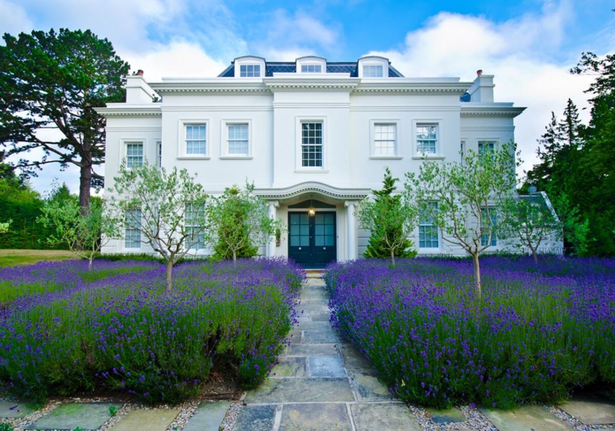 lavender-palace