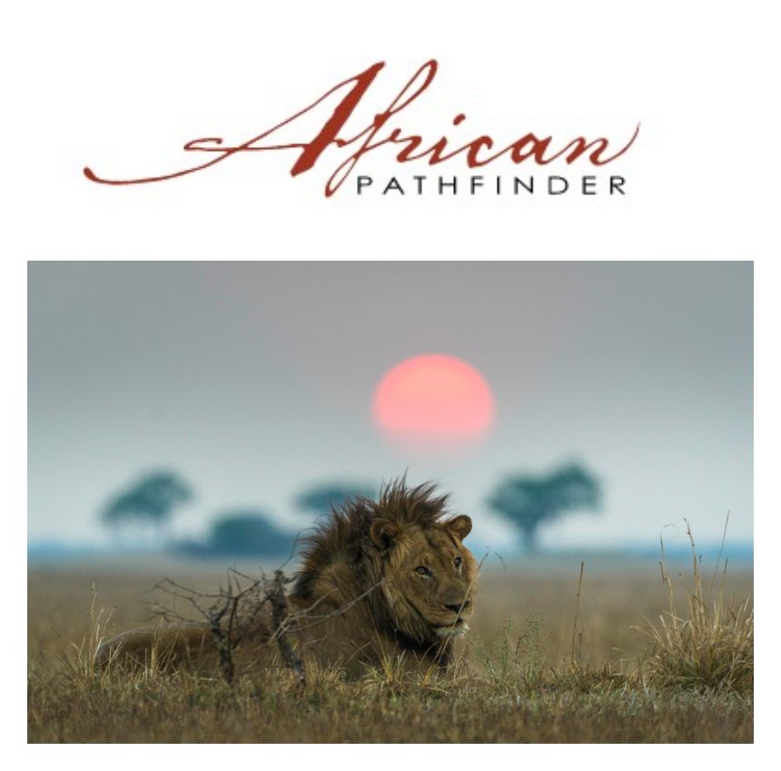 Lynne Davis & Co Welcomes African Pathfinder