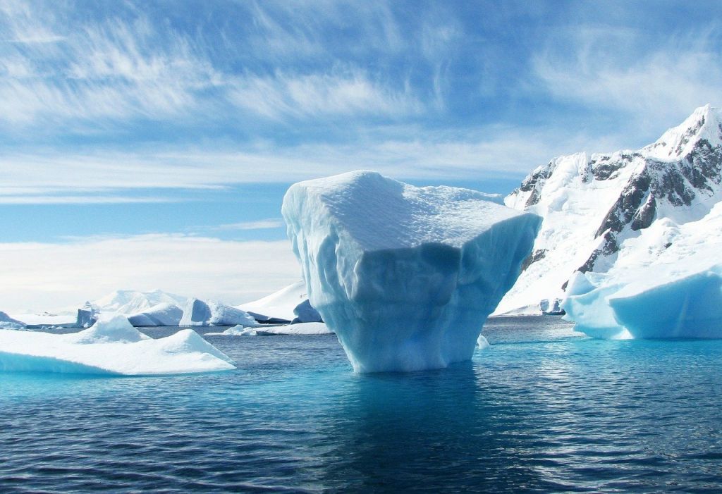 protect the planet