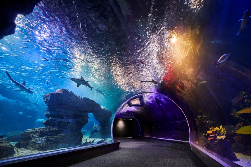 New Aquarium Marks Completion Of Suwon Mice Complex 3 Aqua Planet Gwanggyo Korea2