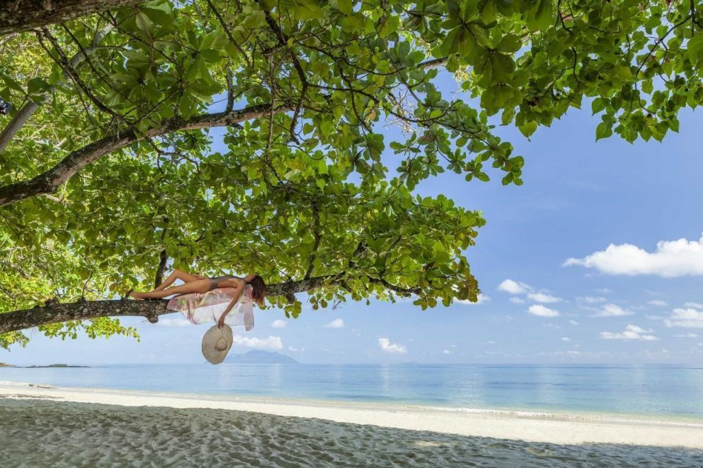 Story Eco Hotels &Amp; Resorts Launches In The Seychelles 5 Story Seychelles beach